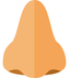 Nose