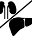 Liver and Kidneys