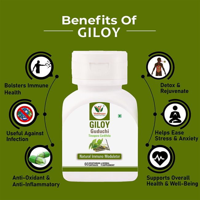 Giloy – Immune Booster Guduchi Supports Immune Health & Well-Being | 60 Vegetarian Capsules 500mg Each