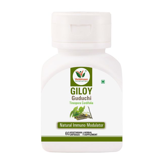 Giloy – Immune Booster Guduchi Supports Immune Health & Well-Being | 60 Vegetarian Capsules 500mg Each