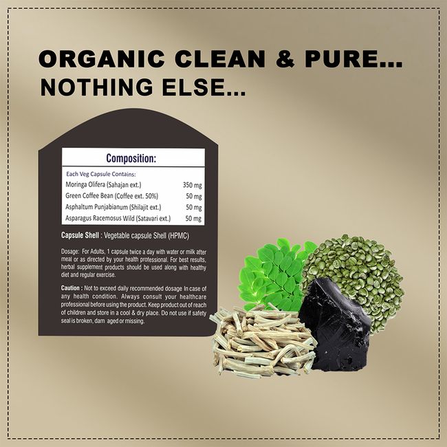 Moringa++ 60 Veg Capsules | Natural Energy 