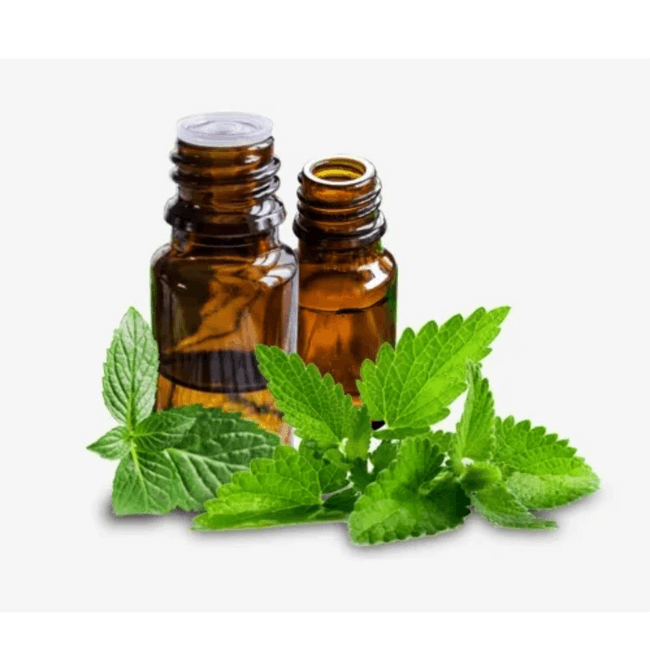 peppermintessentialoil-10ml