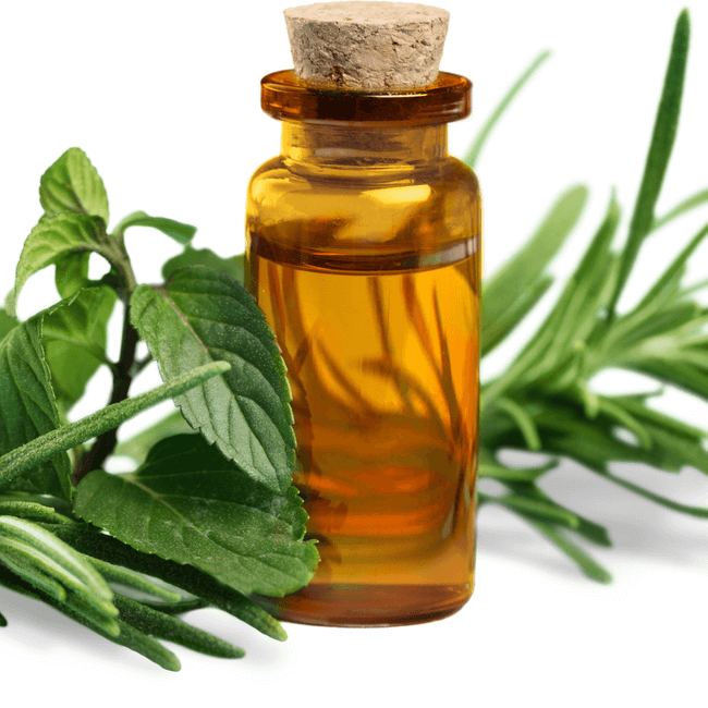 teatreeessentialoil-10ML