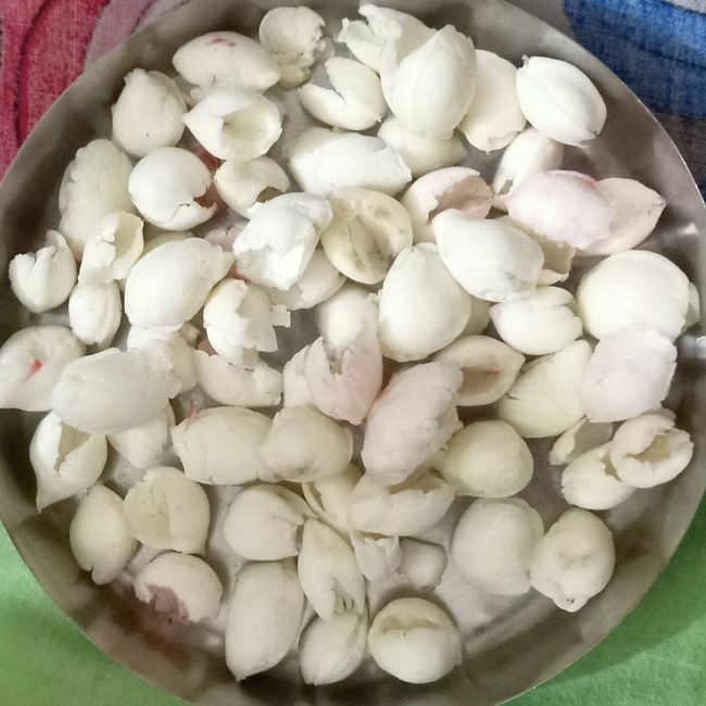 SANGESARMAHI