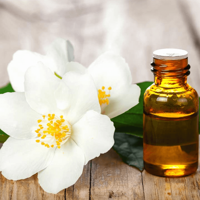Chameli  Oil (Jasmine) (100 ML)