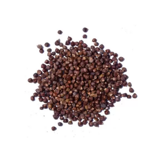 Beej Tomru | Nepali Dhania