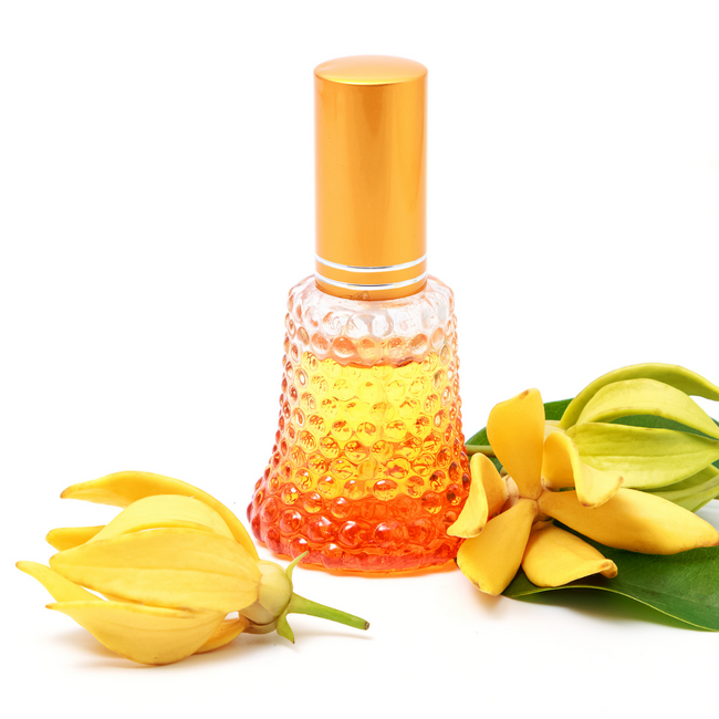 ylangylangessentialoil-10ML