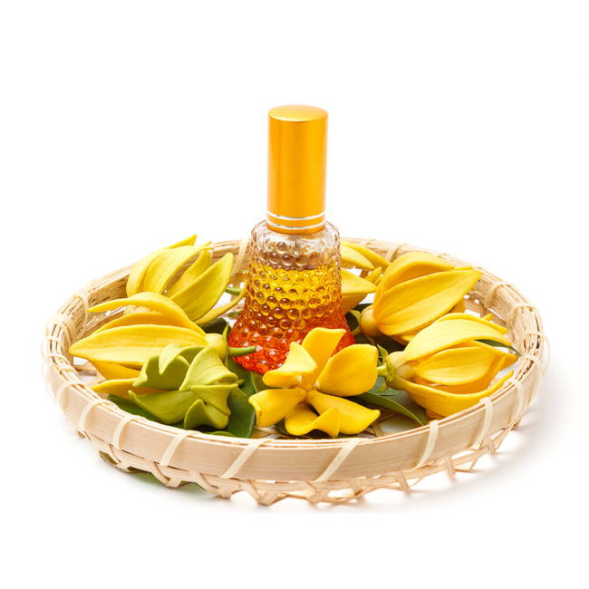 ylangylangessentialoil-10ML