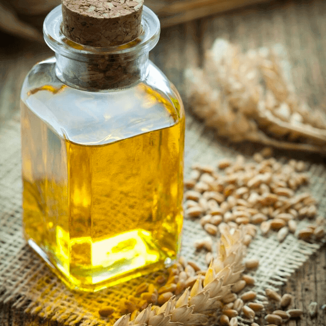 wheatgermessentialoil-10ml