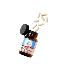 Ayurvedic herbal remedy product