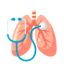 Respiratory Disorder