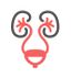 Urology